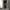 JEANS FEDING BY BELL TINGKER photo 1