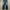 Levis 501 Slimfit Jeans Blue photo 2