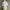 Crop White photo 1