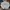 Streetwear Sportswear Track Jacket Pria Multicolor White