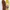 VANS Casual Sneakers Pria yellow photo 5