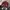 Blur Bird Casual Jacket photo 5