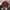 Blur Bird Casual Jacket photo 4
