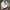 Streetwear Vintage Hat Pria gray photo 2