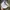 Streetwear Vintage Hat Pria Gray