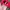 Streetwear Vintage Hat Pria red photo 4