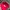 Streetwear Vintage Hat Pria Red