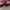 flatshoes photo 3