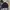 Polo Ralph Lauren Concealed Hood Nylon photo 1