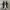 Converse One Star OX Suede Black White photo 2