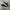 Converse One Star OX Suede Black White photo 1