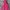 Gorpcore Sportswear Windbreaker Wanita pink photo 2