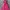 Gorpcore Sportswear Windbreaker Wanita Pink