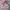 Gorpcore Sportswear Windbreaker Wanita pink photo 6
