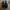 Nike shox r4 photo 1