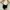rosey top in white lasolange photo 4