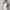 rosey top in white lasolange photo 1