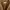 MaxMara Brown Jacket photo 2