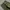 Luna Fatigue longpants olive green, Regular Straight Fit photo 7
