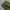 Luna Fatigue longpants olive green, Regular Straight Fit photo 4