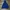 TNF MP3 Navy photo 2