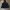 TNF Hyvent MP3  photo 8