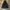 TNF Hyvent MP3  photo 7