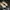 flatshoes papillon photo 1