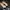 Flatshoes Papillon