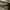 Coach  Signature Canvas Shoulder Vintage Bag photo 2