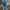 trackpants adidas blue photo 1
