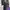ZARA Gorpcore Avant Garde Evening dress Wanita green photo 5