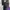 ZARA Gorpcore Avant Garde Evening dress Wanita green photo 3