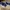 Adidas Lite Racer Adapt Shoes photo 5