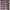 ORIGINAL MERC LONDON POLOSHIRT photo 1