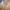 Gold long dress/ party dress/family party dress photo 1
