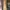 Gold long dress/ party dress/family party dress photo 3