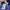 Score Draw Official Retro Tottenham Hotspur Spurs Retro 1992 photo 8