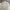 Canvas Jacket Boxy Cream  photo 1