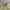 Jacket Parka Crop Canvas  photo 2
