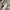 Celana Pendek Berskha Paperbag Hight Waist photo 6