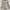 Celana Pendek Berskha Paperbag Hight Waist photo 2