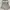 Celana Pendek Berskha Paperbag Hight Waist photo 1