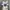 NFL JERSY VINTGE photo 1