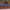 Vans Era Low Grey photo 1