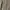 H&M Long Trousers 