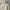 LONG BOXY SHIRT VANHEUSEN