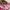 Y2k Morgan Lace Up Top With Flower Graphic Pink photo 3