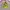 Y2k Miss Bunny Tank Top With All Over Print 2000s photo 2