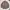 Sugar cane houndstooth flannel not buzz rickson momotaro photo 2